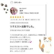 ヒメ日記 2025/03/03 12:01 投稿 ミケ 越谷発デリヘル 生イキッ娘！