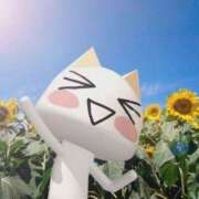 ヒメ日記 2025/07/07 22:12 投稿 ミケ 越谷発デリヘル 生イキッ娘！