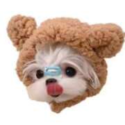 ヒメ日記 2025/09/13 00:00 投稿 ミケ 越谷発デリヘル 生イキッ娘！