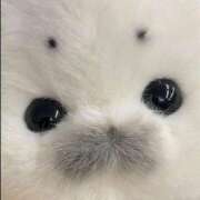 ヒメ日記 2025/10/01 18:00 投稿 ミケ 越谷発デリヘル 生イキッ娘！