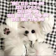 ヒメ日記 2025/10/17 17:02 投稿 ミケ 越谷発デリヘル 生イキッ娘！