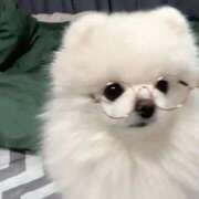 ヒメ日記 2025/10/25 20:30 投稿 ミケ 越谷発デリヘル 生イキッ娘！