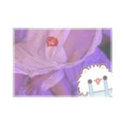 ヒメ日記 2025/12/12 15:00 投稿 ミケ 越谷発デリヘル 生イキッ娘！