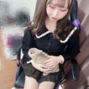 ヒメ日記 2025/03/24 02:13 投稿 ねこ ニューハーフヘルスSURPRISE ONE日本橋店