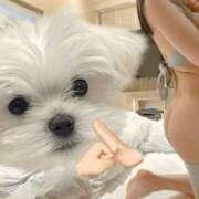 ヒメ日記 2025/03/25 15:53 投稿 ねこ ニューハーフヘルスSURPRISE ONE日本橋店