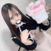 ヒメ日記 2025/03/31 14:12 投稿 ねこ ニューハーフヘルスSURPRISE ONE日本橋店