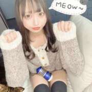 ヒメ日記 2025/04/06 19:13 投稿 ねこ ニューハーフヘルスSURPRISE ONE日本橋店