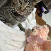 ヒメ日記 2025/04/11 16:43 投稿 ねこ ニューハーフヘルスSURPRISE ONE日本橋店