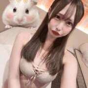 ヒメ日記 2025/04/26 20:15 投稿 ねこ ニューハーフヘルスSURPRISE ONE日本橋店