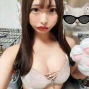 ヒメ日記 2025/04/27 15:00 投稿 ねこ ニューハーフヘルスSURPRISE ONE日本橋店