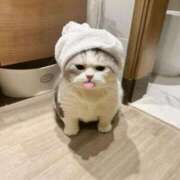 ヒメ日記 2025/05/05 23:08 投稿 ねこ ニューハーフヘルスSURPRISE ONE日本橋店