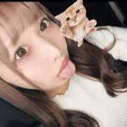 ヒメ日記 2025/05/26 20:04 投稿 ねこ ニューハーフヘルスSURPRISE ONE日本橋店