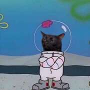 ヒメ日記 2025/07/30 15:23 投稿 ねこ ニューハーフヘルスSURPRISE ONE日本橋店