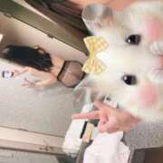 ヒメ日記 2025/08/05 15:29 投稿 ねこ ニューハーフヘルスSURPRISE ONE日本橋店