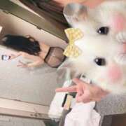 ヒメ日記 2025/10/24 17:57 投稿 ねこ ニューハーフヘルスSURPRISE ONE日本橋店