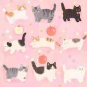 ヒメ日記 2025/11/18 23:53 投稿 ねこ ニューハーフヘルスSURPRISE ONE日本橋店