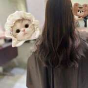 ヒメ日記 2026/01/31 15:59 投稿 ねこ ニューハーフヘルスSURPRISE ONE日本橋店