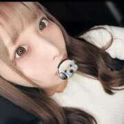 ヒメ日記 2025/04/24 00:32 投稿 ねこ ニューハーフヘルスSURPRISE ONE十三店