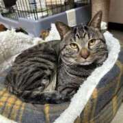 ヒメ日記 2025/04/28 16:20 投稿 ねこ ニューハーフヘルスSURPRISE ONE十三店