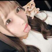 ヒメ日記 2025/05/26 19:54 投稿 ねこ ニューハーフヘルスSURPRISE ONE十三店