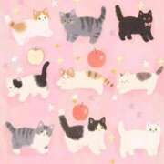 ヒメ日記 2025/11/18 23:35 投稿 ねこ ニューハーフヘルスSURPRISE ONE十三店