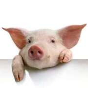 桃果りりこ [お題]from:タバコ買ってくるわさん 松戸人妻花壇