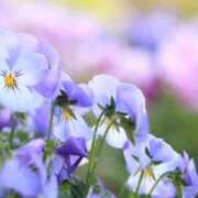 ことみ 28、29日お休みします🙇‍♀️ 上野ハイブリッドマッサージ