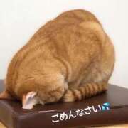 ヒメ日記 2025/04/03 18:25 投稿 彩音(あやね) 高知デリヘル倶楽部 人妻熟女専門店