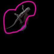 ヒメ日記 2026/02/05 18:20 投稿 つきな 奥様特急新潟店