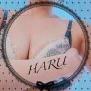 ヒメ日記 2025/02/14 21:18 投稿 はる【圧倒的人気No1】 仙台大人の秘密倶楽部