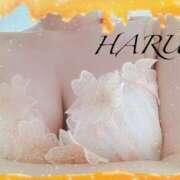 ヒメ日記 2025/02/15 21:03 投稿 はる【圧倒的人気No1】 仙台大人の秘密倶楽部