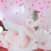 ヒメ日記 2025/02/16 09:03 投稿 はる【圧倒的人気No1】 仙台大人の秘密倶楽部