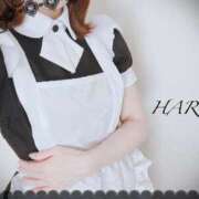 ヒメ日記 2025/02/18 09:03 投稿 はる【圧倒的人気No1】 仙台大人の秘密倶楽部