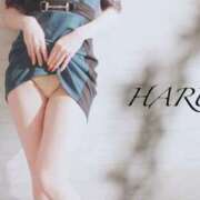 ヒメ日記 2025/02/19 09:03 投稿 はる【圧倒的人気No1】 仙台大人の秘密倶楽部