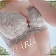 ヒメ日記 2025/02/22 21:03 投稿 はる【圧倒的人気No1】 仙台大人の秘密倶楽部