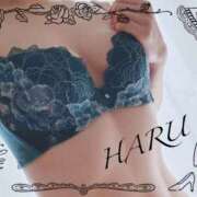 ヒメ日記 2025/02/23 19:03 投稿 はる【圧倒的人気No1】 仙台大人の秘密倶楽部