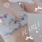 ヒメ日記 2025/04/16 21:03 投稿 はる【圧倒的人気No1】 仙台大人の秘密倶楽部