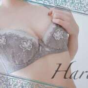 ヒメ日記 2025/04/22 21:03 投稿 はる【圧倒的人気No1】 仙台大人の秘密倶楽部