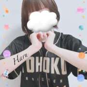 ヒメ日記 2025/05/04 10:03 投稿 はる【圧倒的人気No1】 仙台大人の秘密倶楽部