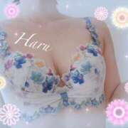 ヒメ日記 2025/05/05 21:03 投稿 はる【圧倒的人気No1】 仙台大人の秘密倶楽部