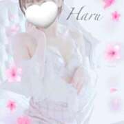 ヒメ日記 2025/05/14 10:03 投稿 はる【圧倒的人気No1】 仙台大人の秘密倶楽部