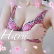 ヒメ日記 2025/05/17 21:03 投稿 はる【圧倒的人気No1】 仙台大人の秘密倶楽部