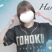 ヒメ日記 2025/05/21 10:12 投稿 はる【圧倒的人気No1】 仙台大人の秘密倶楽部