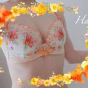 ヒメ日記 2025/05/23 21:12 投稿 はる【圧倒的人気No1】 仙台大人の秘密倶楽部