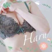 ヒメ日記 2025/05/28 21:12 投稿 はる【圧倒的人気No1】 仙台大人の秘密倶楽部