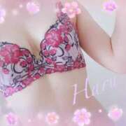 ヒメ日記 2025/06/04 21:03 投稿 はる【圧倒的人気No1】 仙台大人の秘密倶楽部