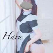 ヒメ日記 2025/06/07 10:12 投稿 はる【圧倒的人気No1】 仙台大人の秘密倶楽部