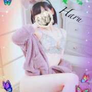 ヒメ日記 2025/06/16 10:03 投稿 はる【圧倒的人気No1】 仙台大人の秘密倶楽部