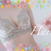 ヒメ日記 2025/06/19 21:03 投稿 はる【圧倒的人気No1】 仙台大人の秘密倶楽部