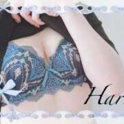 ヒメ日記 2025/06/25 21:03 投稿 はる【圧倒的人気No1】 仙台大人の秘密倶楽部